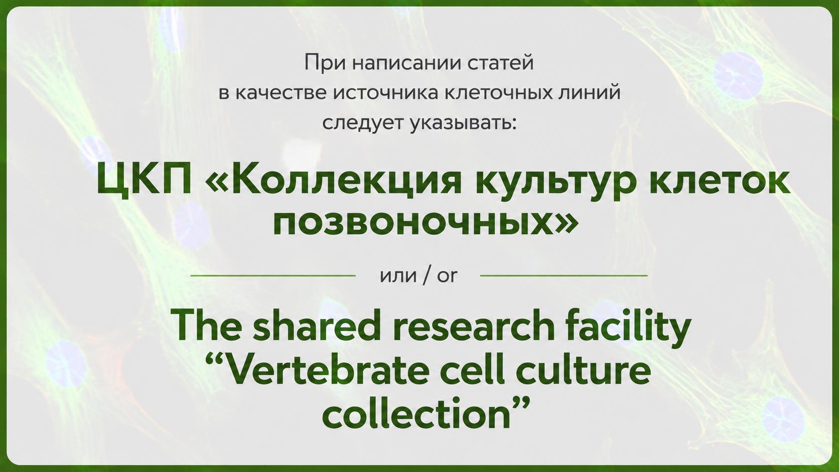 Информация об указании ЦКП как источника клеточных линий